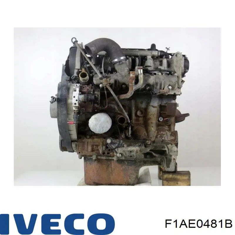 F1AE0481B Iveco Motor completo