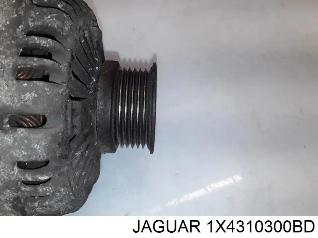 Alternador del motor Jaguar 1X4310300BD precio, desde 110,35 EUR