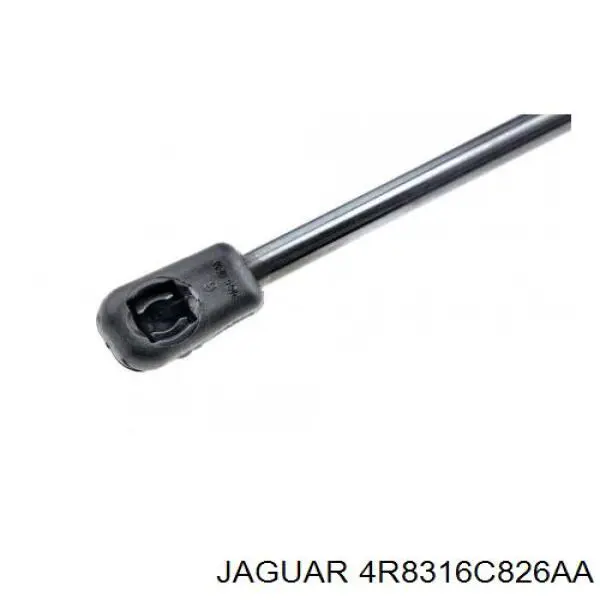 Muelle de capó para Jaguar S-type (CCX)