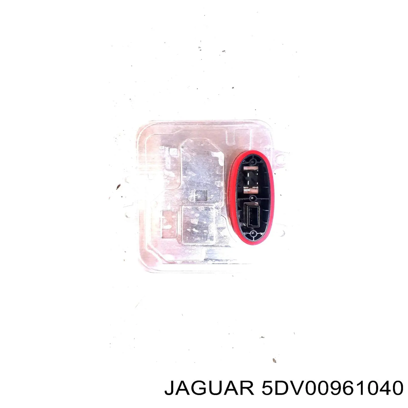 5DV00961040 Jaguar