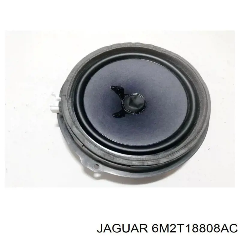 6M2T18808AC Jaguar