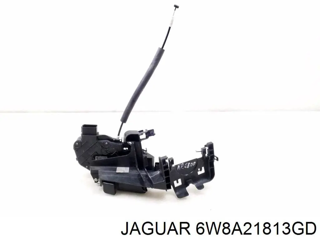 6W8A21813GD Jaguar