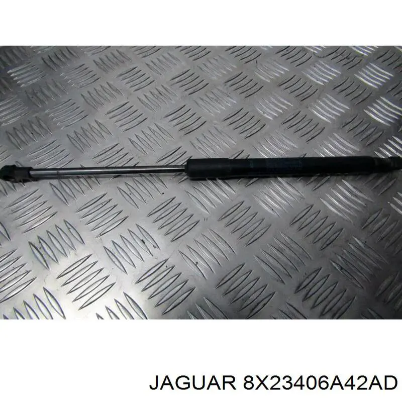 8X23406A42AD Jaguar