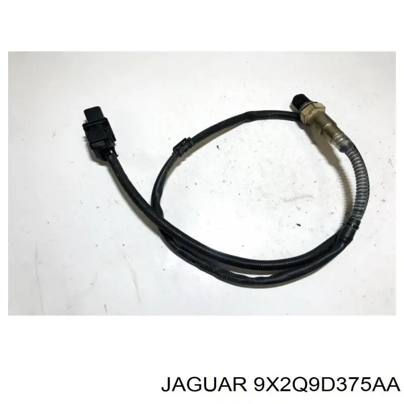 9X2Q9D375AA Jaguar