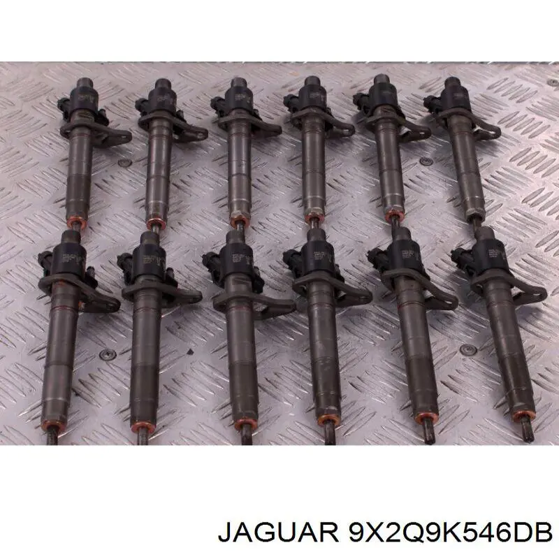 9X2Q9K546DB Jaguar