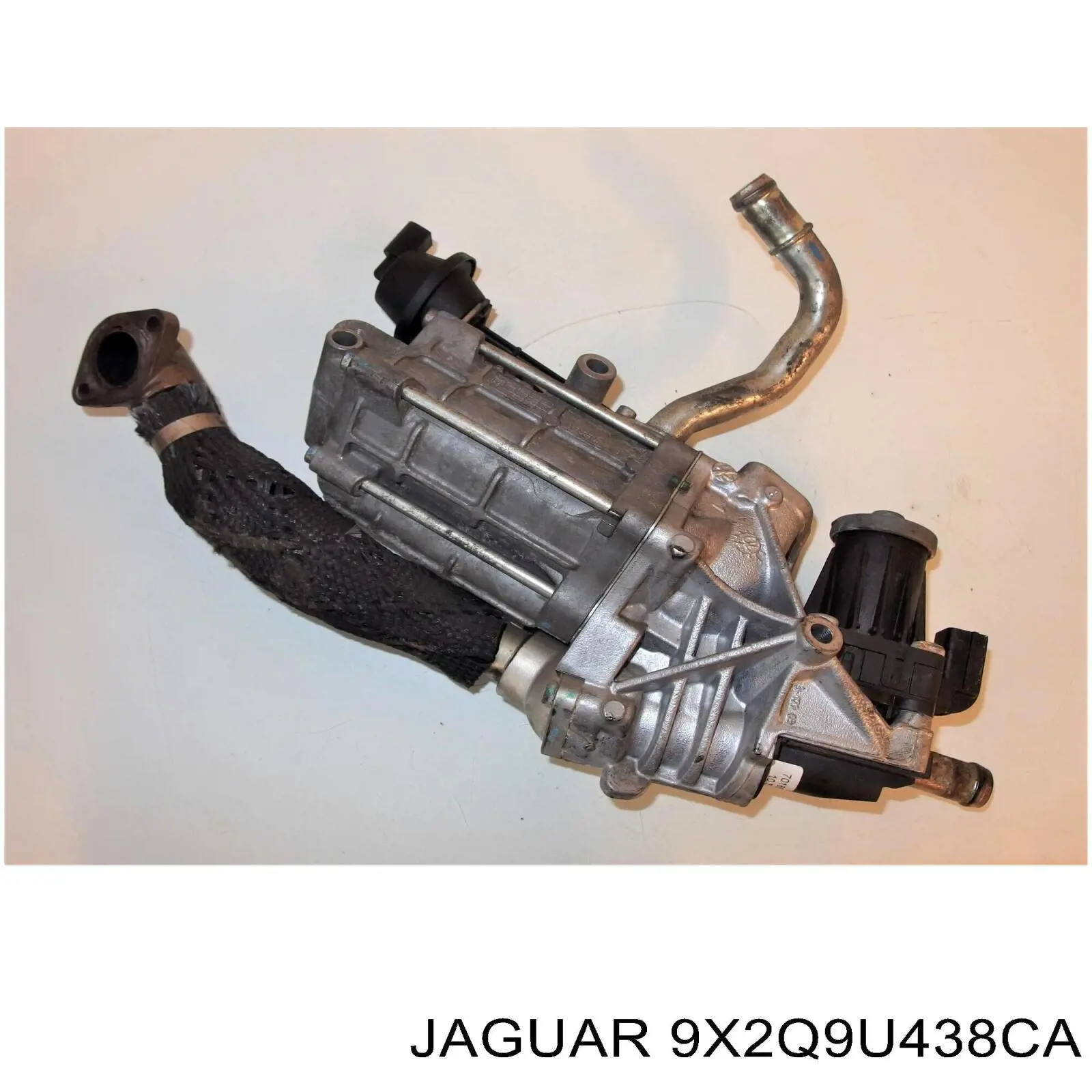 9X2Q9U438CA Jaguar