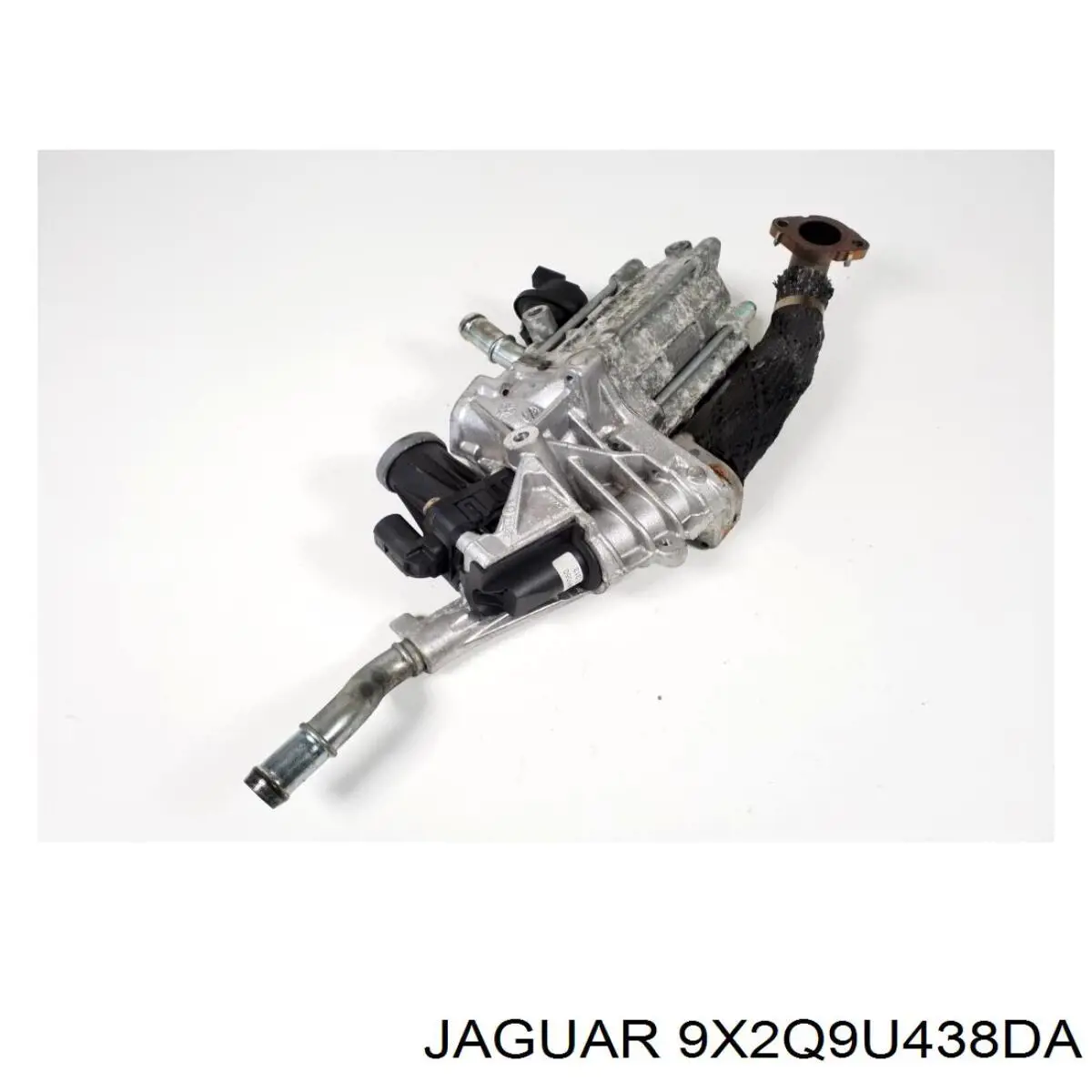 9X2Q9U438DA Jaguar