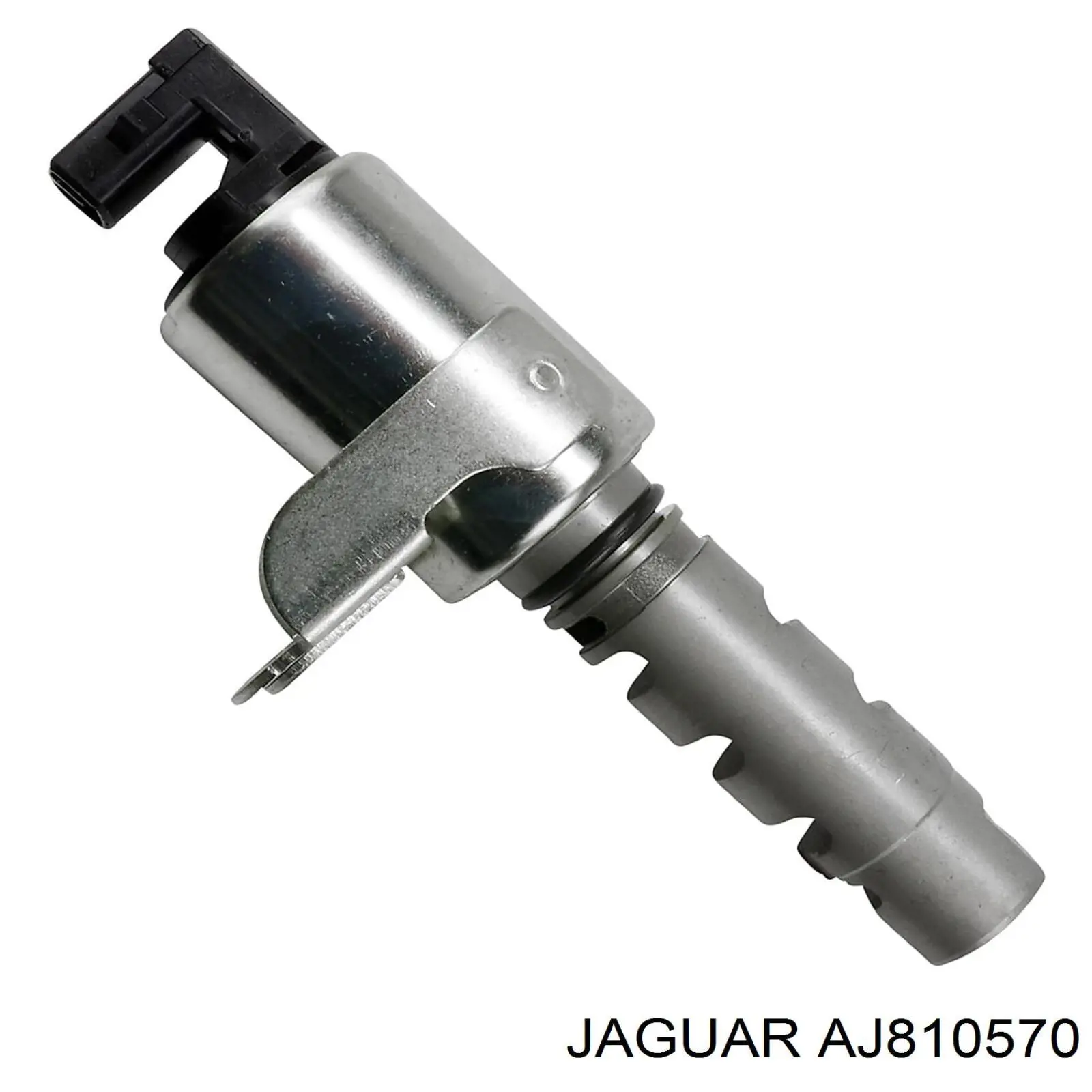 AJ84144 Jaguar válvula control, ajuste de levas