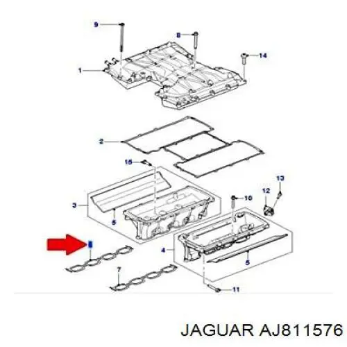 AJ811576 Jaguar