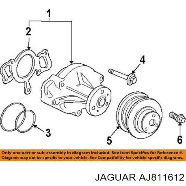 AJ811612 Jaguar junta, bomba de agua