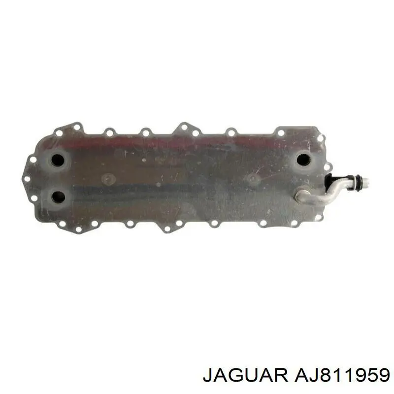Radiador de aceite Jaguar AJ811959 precio, desde 101,94 EUR