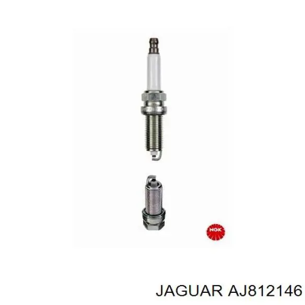 AJ812146 Jaguar bujía