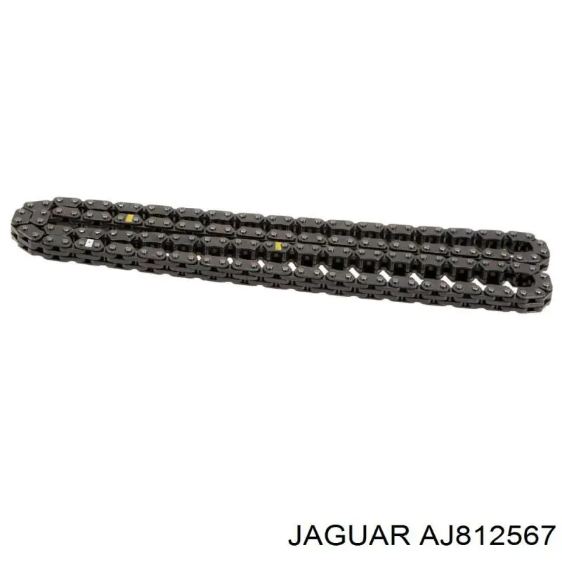 Cadena de distribución Jaguar AJ812567 precio, desde 60,98 EUR