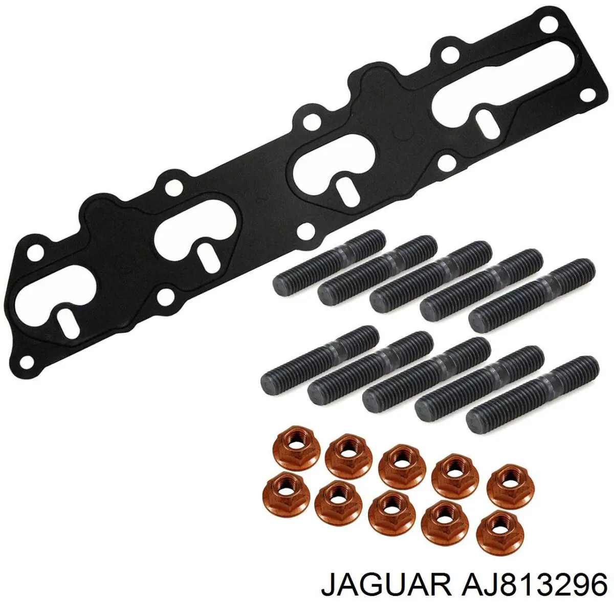 AJ813296 Jaguar