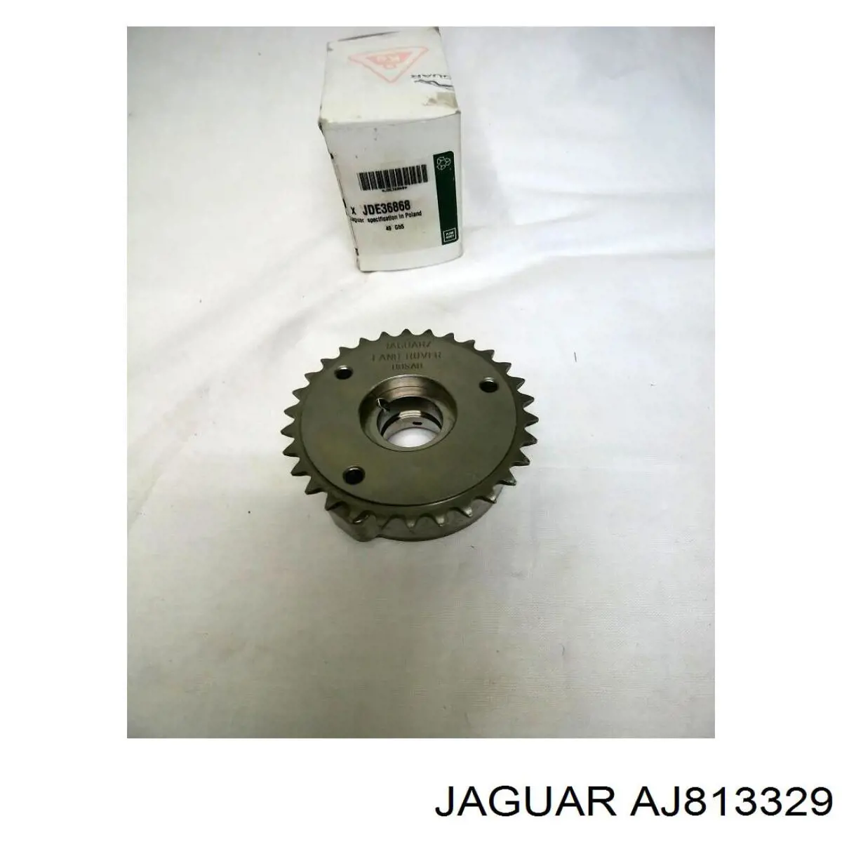 T4N32636 Jaguar