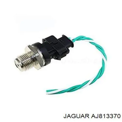 AJ813370 Jaguar