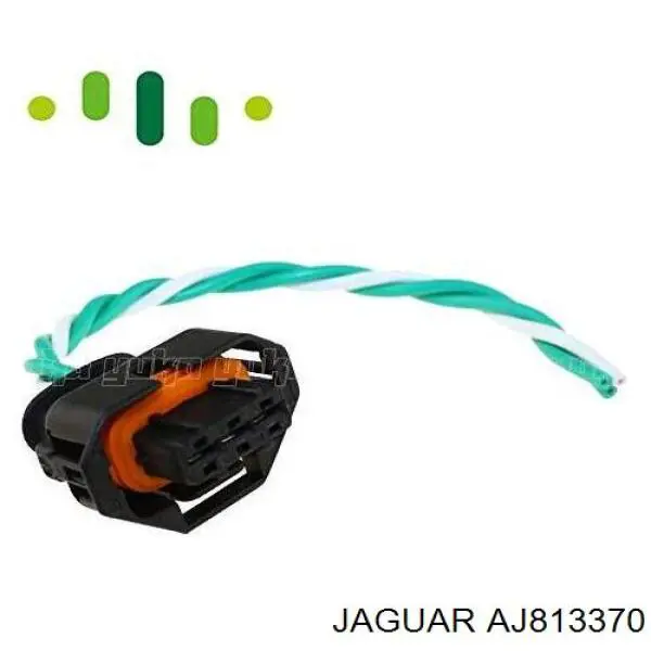 Rampa de combustible Jaguar AJ813370 precio, desde 139,39 EUR