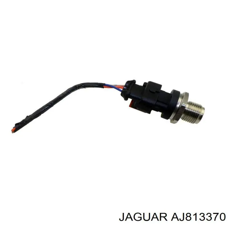 AJ813370 Jaguar Rampa de combustible