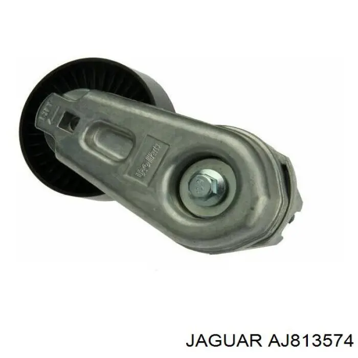 AJ811326 Jaguar