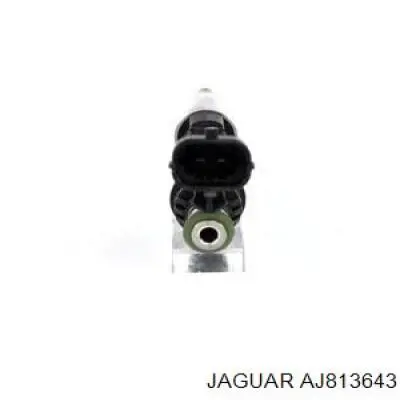 AJ813643 Jaguar