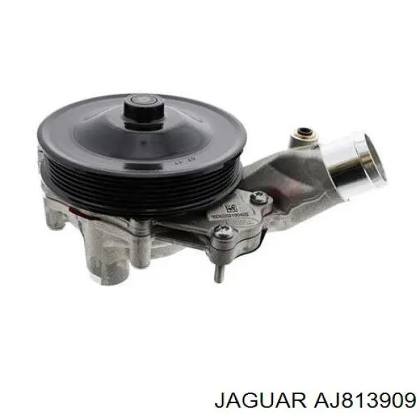 Comprar C2Z29189 Jaguar Bomba de agua para motor
