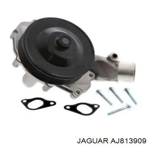 Bombeadora de agua Jaguar AJ813909 precio, desde 54,40 EUR