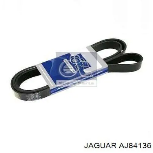 Comprar AJ84136 Jaguar Correa trapezoidal