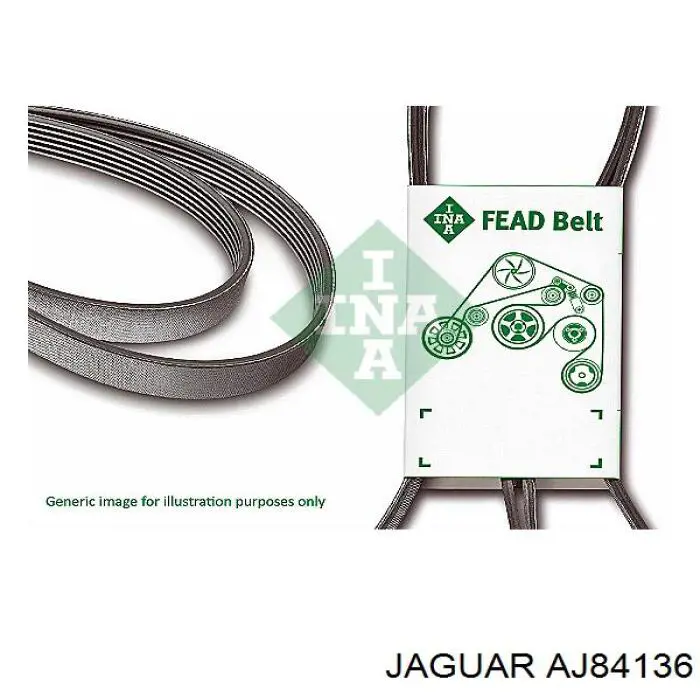 AJ84136 Jaguar correa trapezoidal