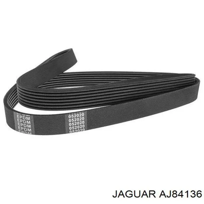 Correa de transmisión trapezoidal Jaguar AJ84136 precio, desde 23,78 EUR