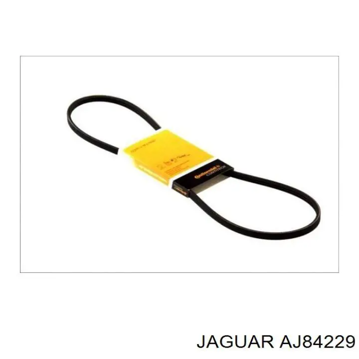 AJ84229 Jaguar correa trapezoidal