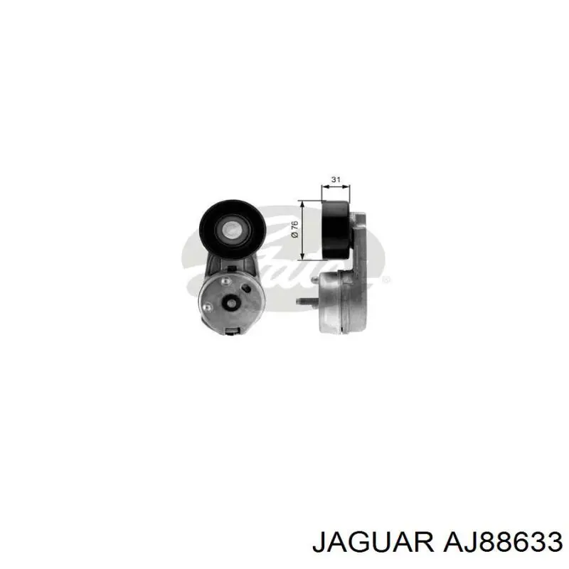 AJ88633 Jaguar tensor de correa, correa poli v