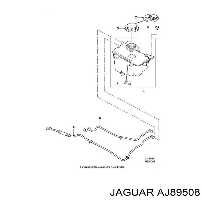 XR831675 Jaguar