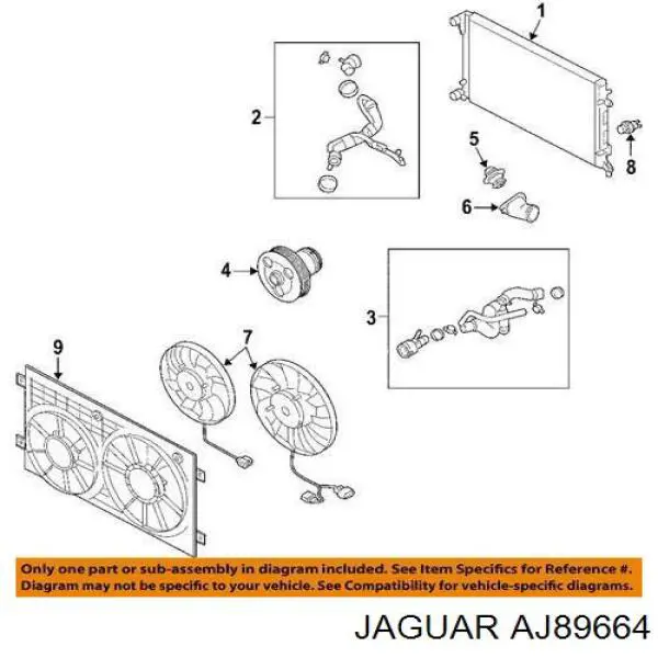 AJ89664 Jaguar