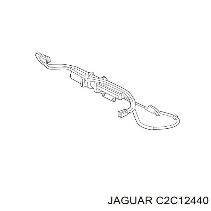 C2C40572 Jaguar