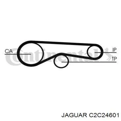 C2C24601 Jaguar correa, bomba de alta presión
