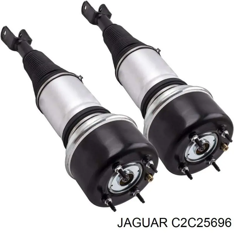 Amortiguadores Jaguar C2C41339 precio, desde 561,98 EUR