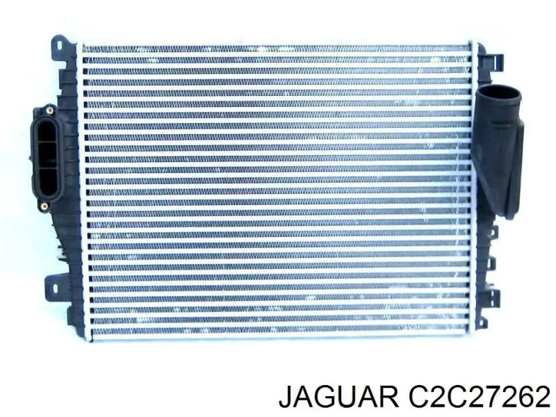 C2Z31092 Jaguar