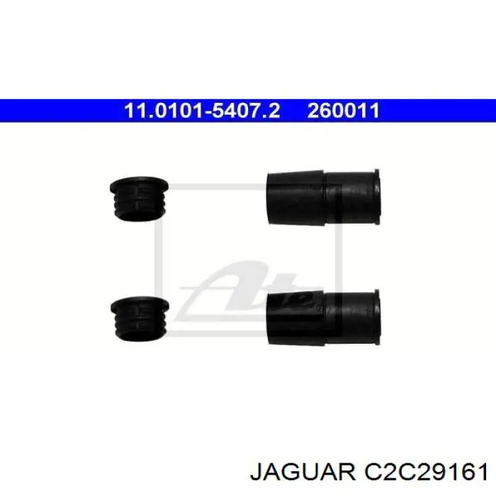 C2C29161 Jaguar