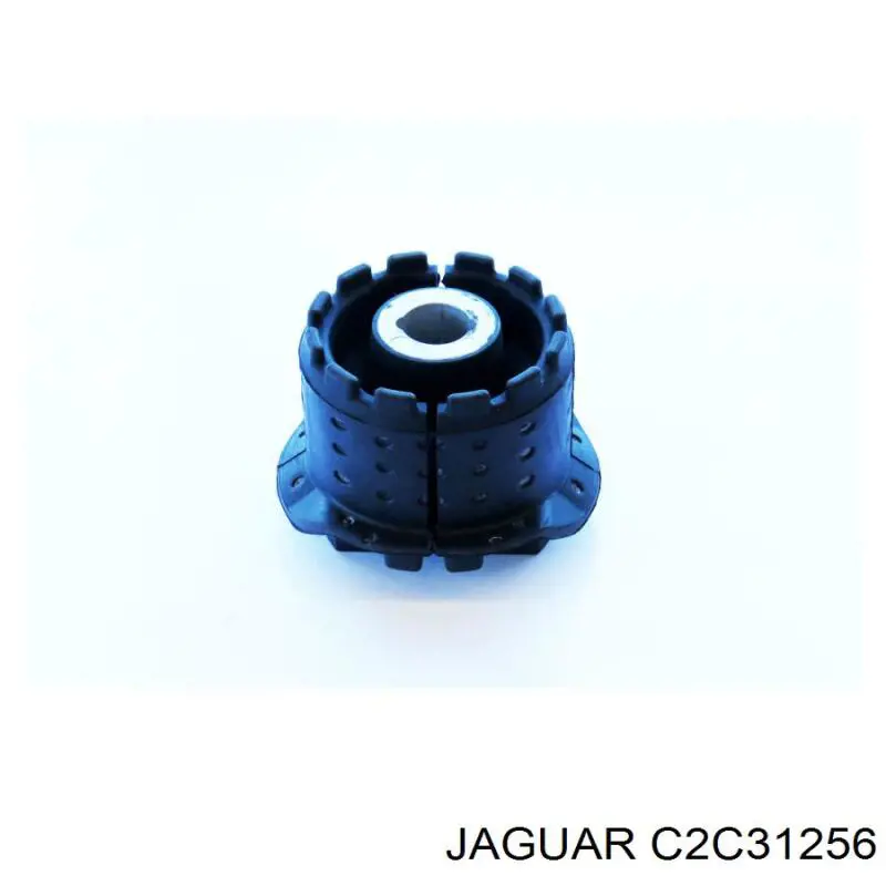 C2C31256 Jaguar