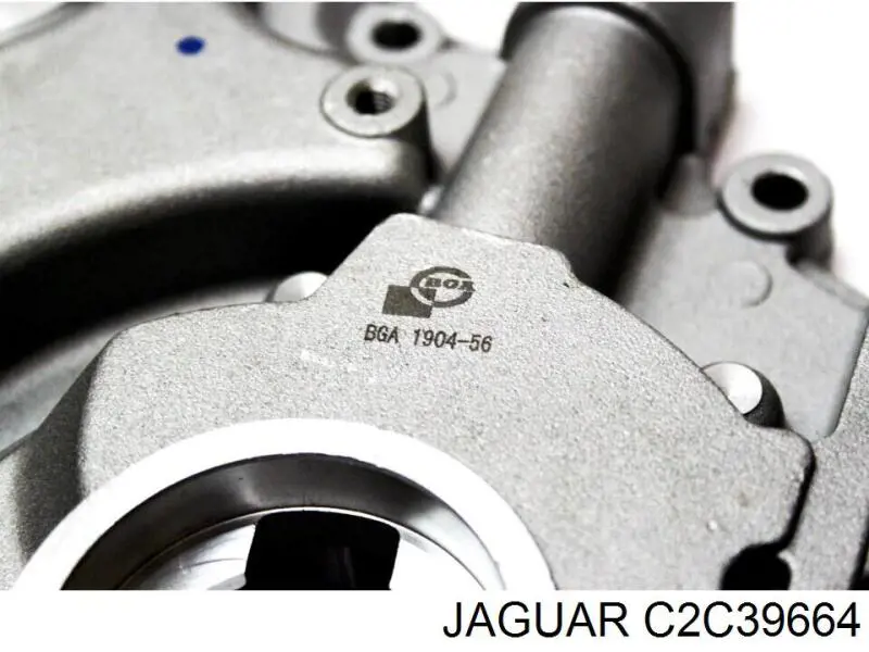 C2C39664 Jaguar