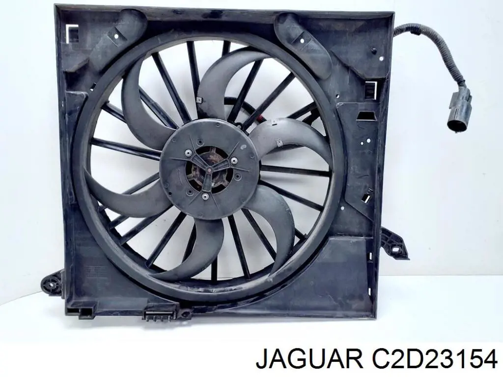 C2D23154 Jaguar