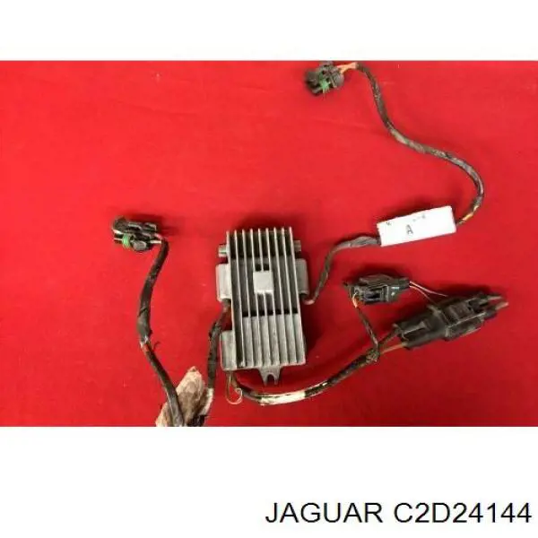 C2P17120 Jaguar