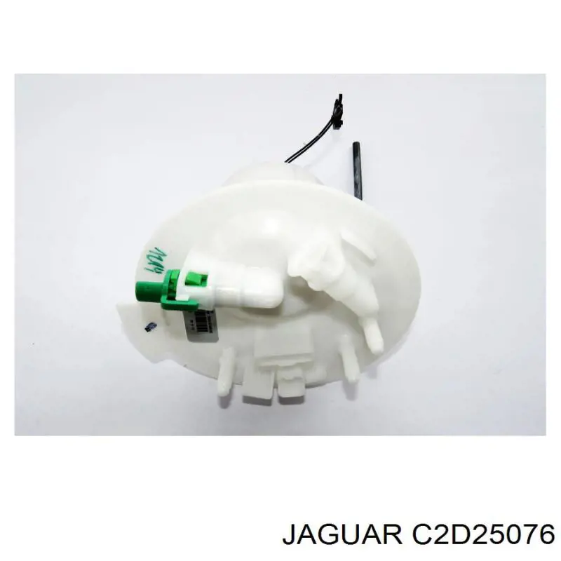 C2D25076 Jaguar