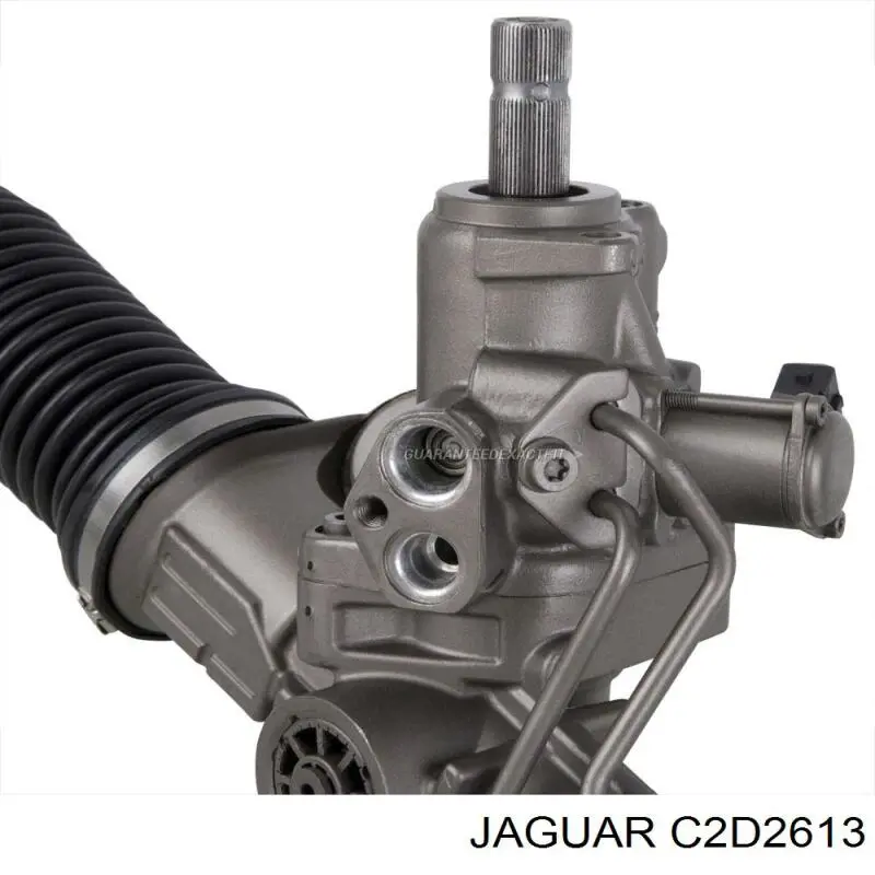 C2D2613 Jaguar