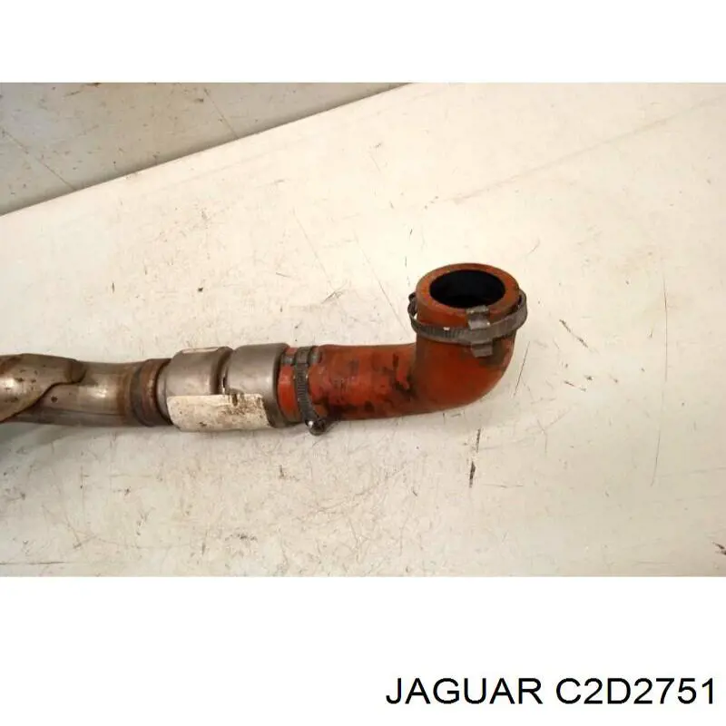 C2D2751 Jaguar