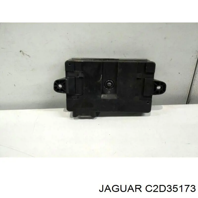 C2D39899 Jaguar