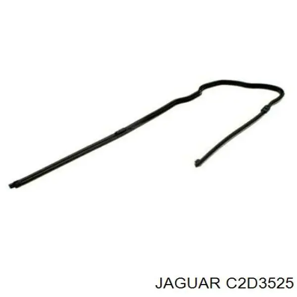 C2D3525 Jaguar