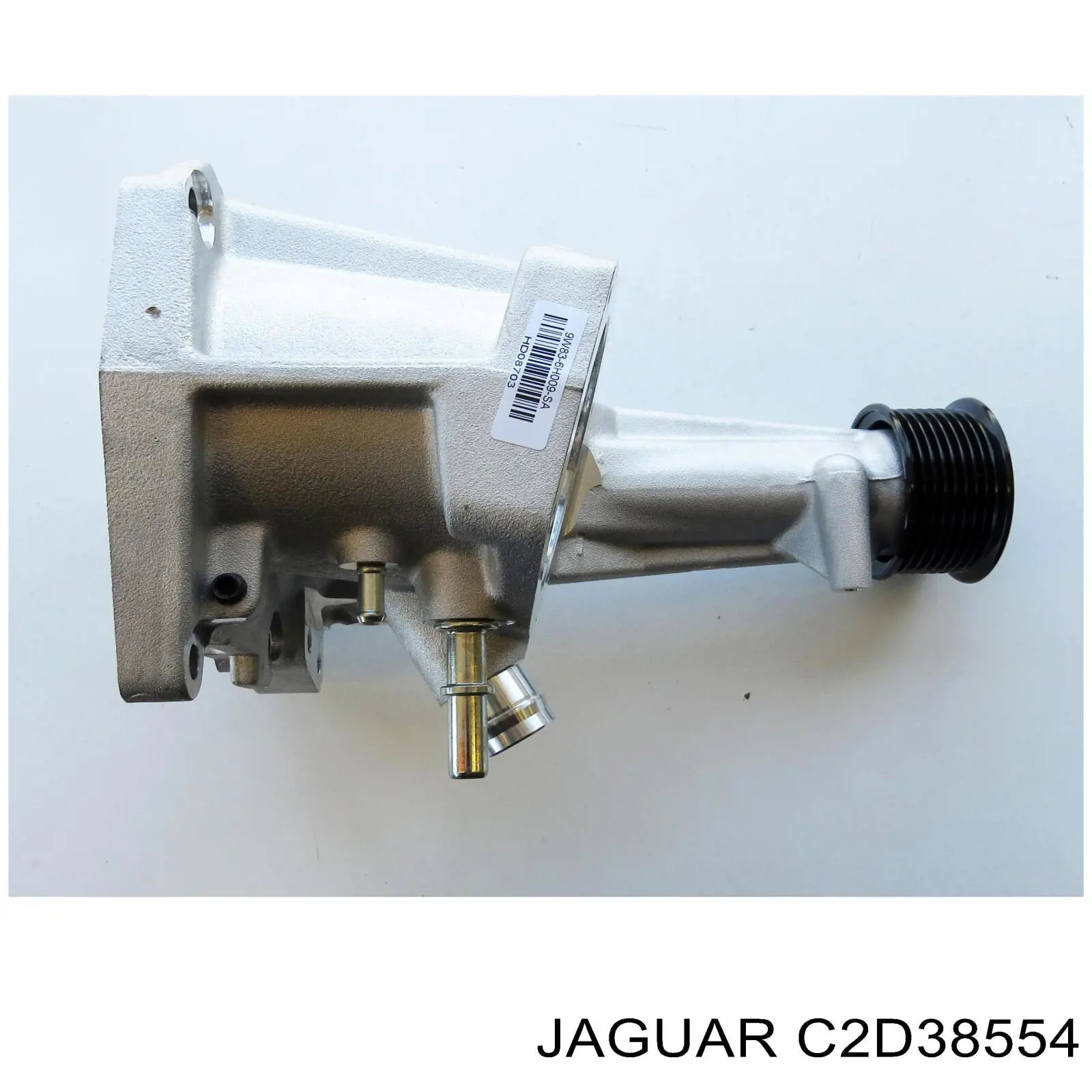 C2D58056 Jaguar