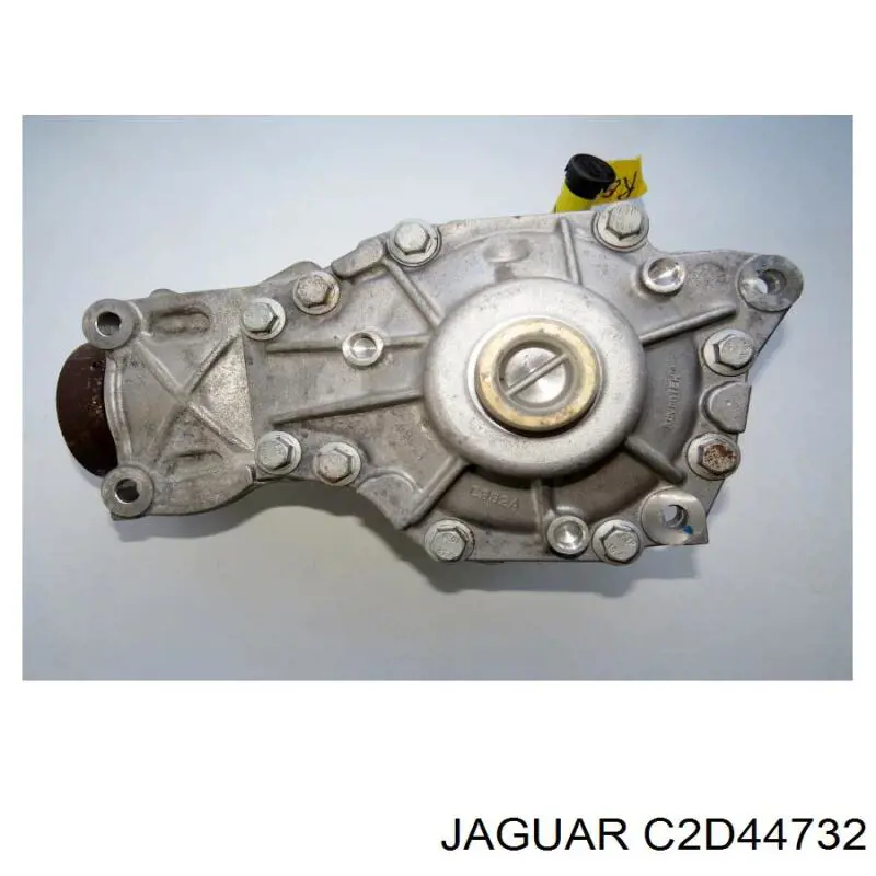 T2R81330 Jaguar