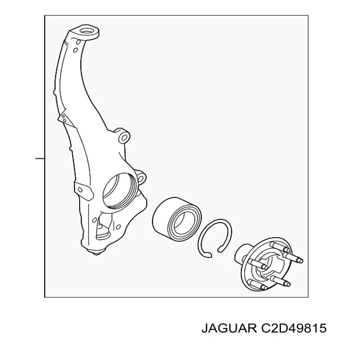 C2D58911 Jaguar